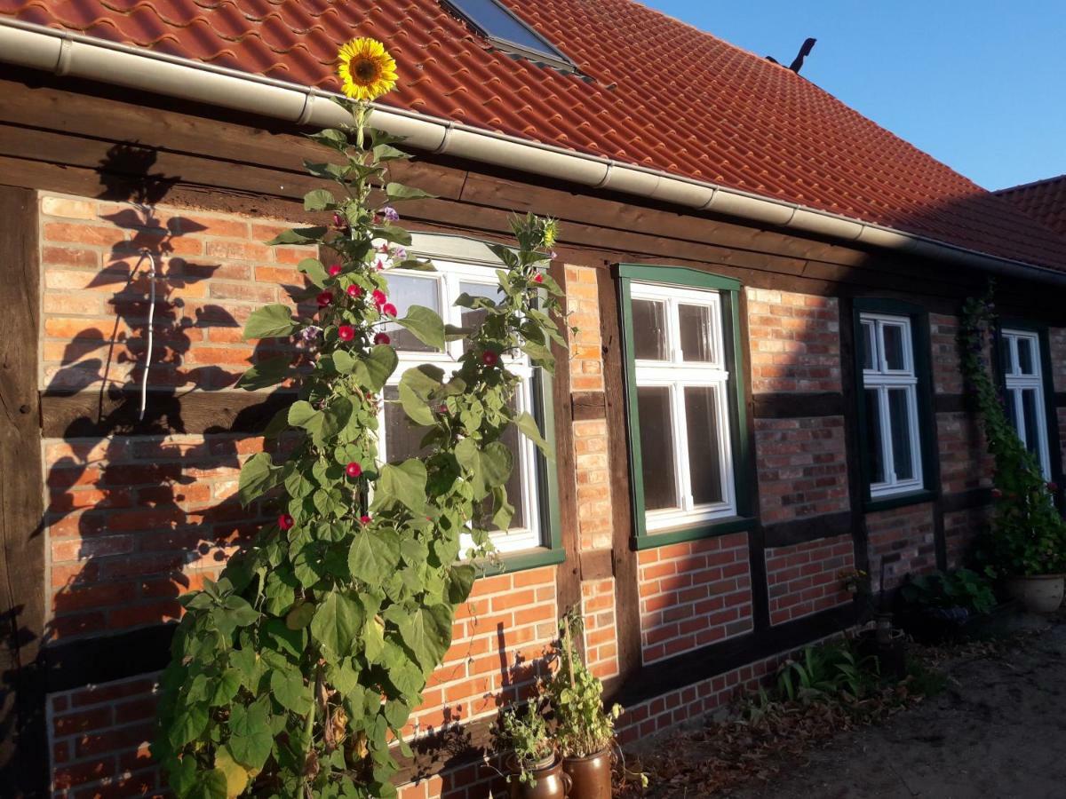 Pension Up'N Doerp Plattenburg 외부 사진